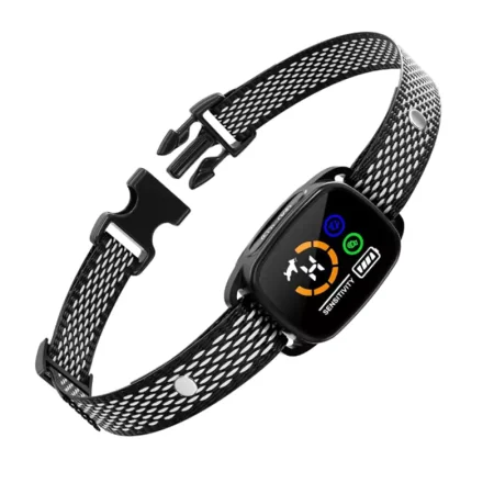 Automatic dog training device